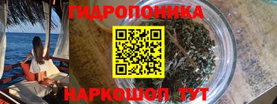 дмт Обь