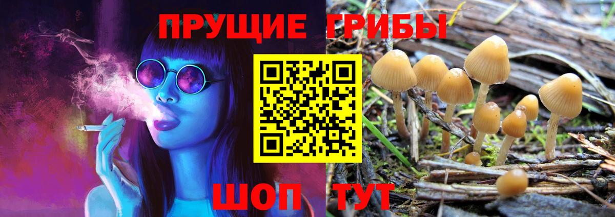 Сертолово  Галлюциногенные грибы GOLDEN TEACHER  Вход с VPN 